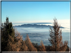 foto Pedemontana Veneta nella nebbia